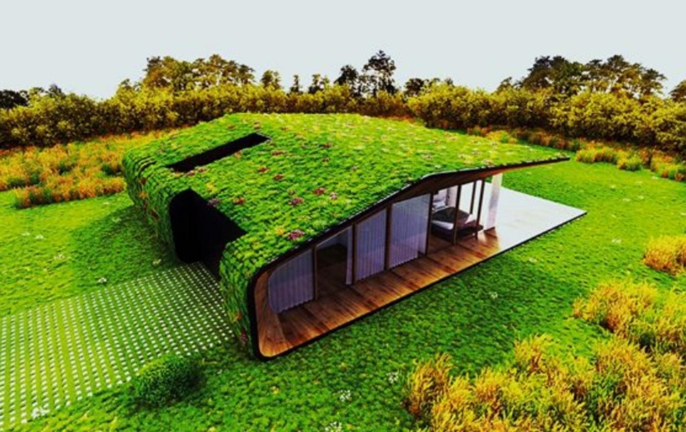 Techo verde