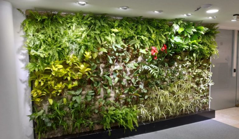 Jardín Vertical de Interior en Oficina - Construido y diseñado por Amazonas Paisajismo