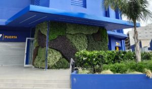 Obra de paisajismo en Boca Juniors